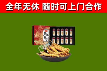 射洪回收冬虫夏草价格
